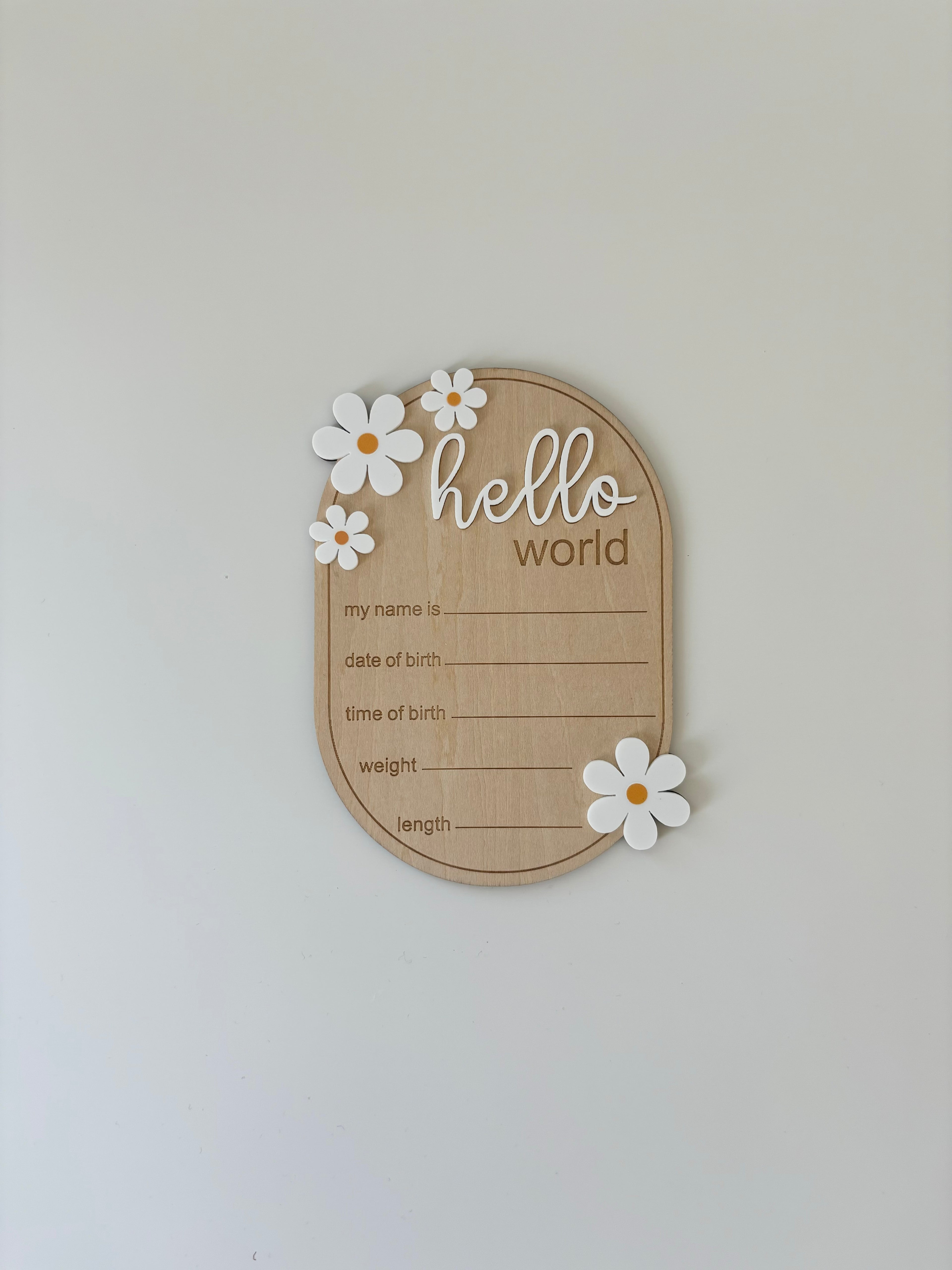 Hello World Sign - Daisies